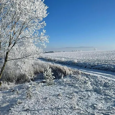 Domek Nad Stawem Клодзько Екстер'єр фото